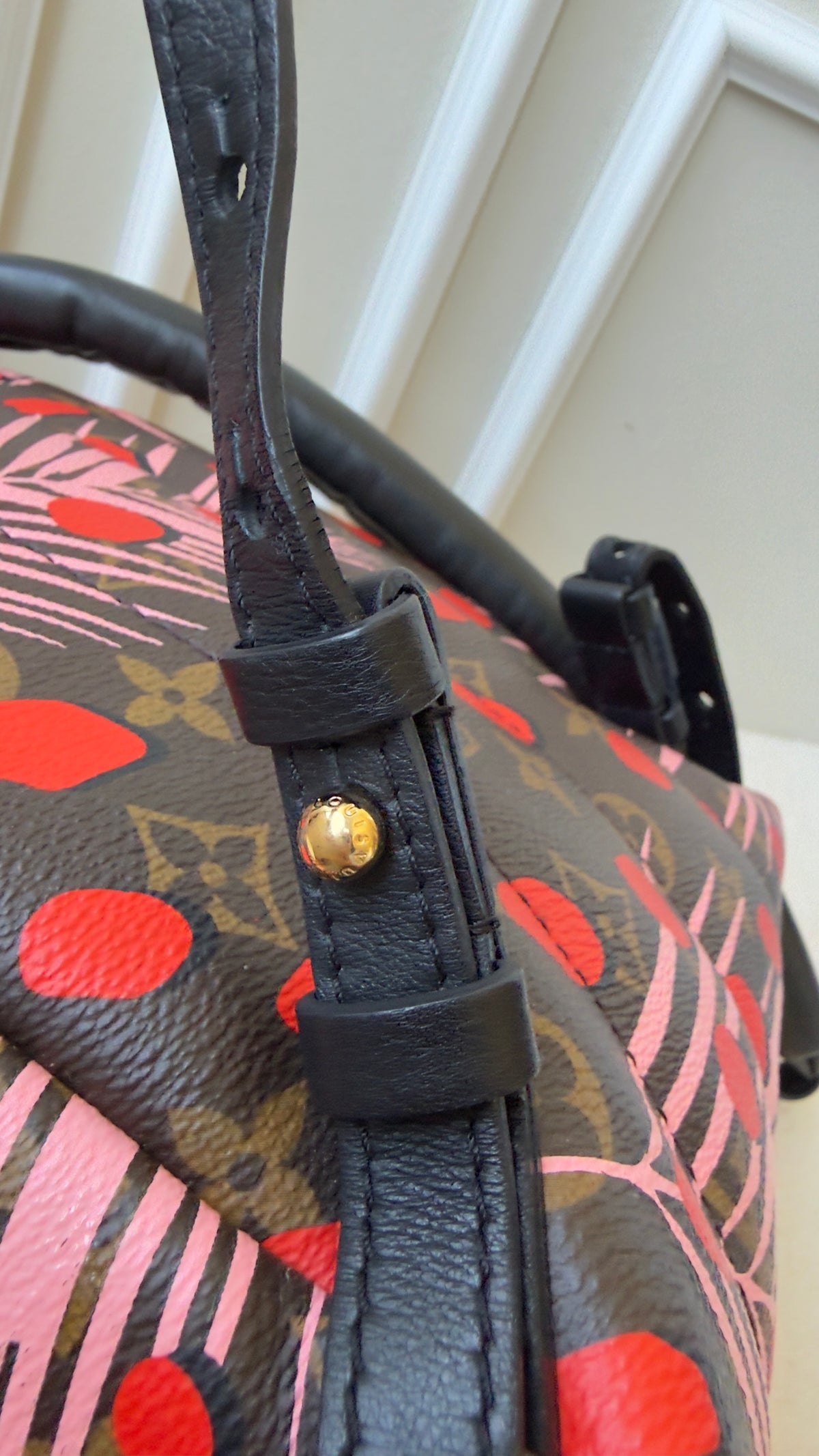 Limited Edition Monogram Canvas Jungle Dots Palm Springs Backpack PM Bag