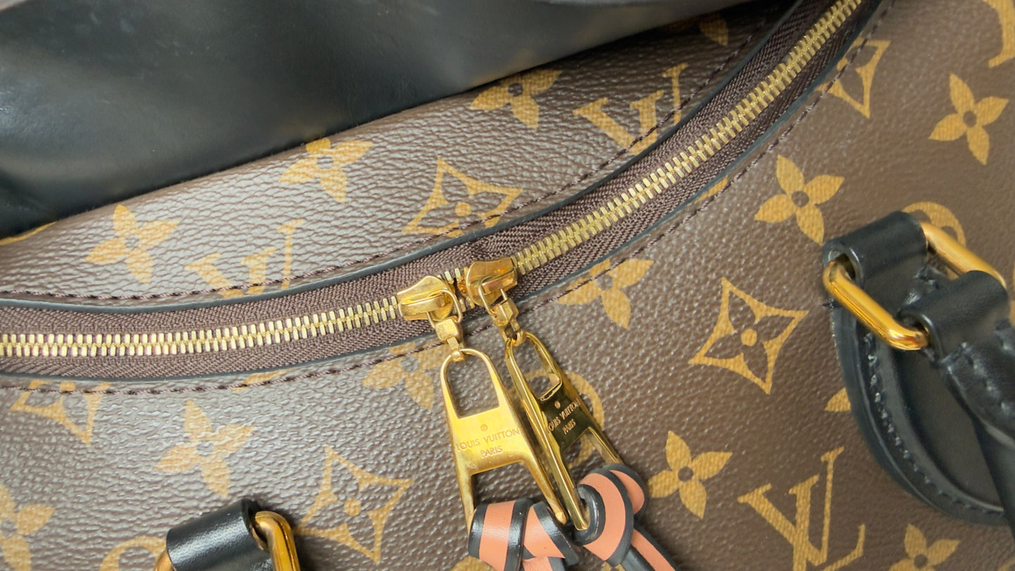 Monogram Canvas And Tricolor Leather Tuileries NM Bag