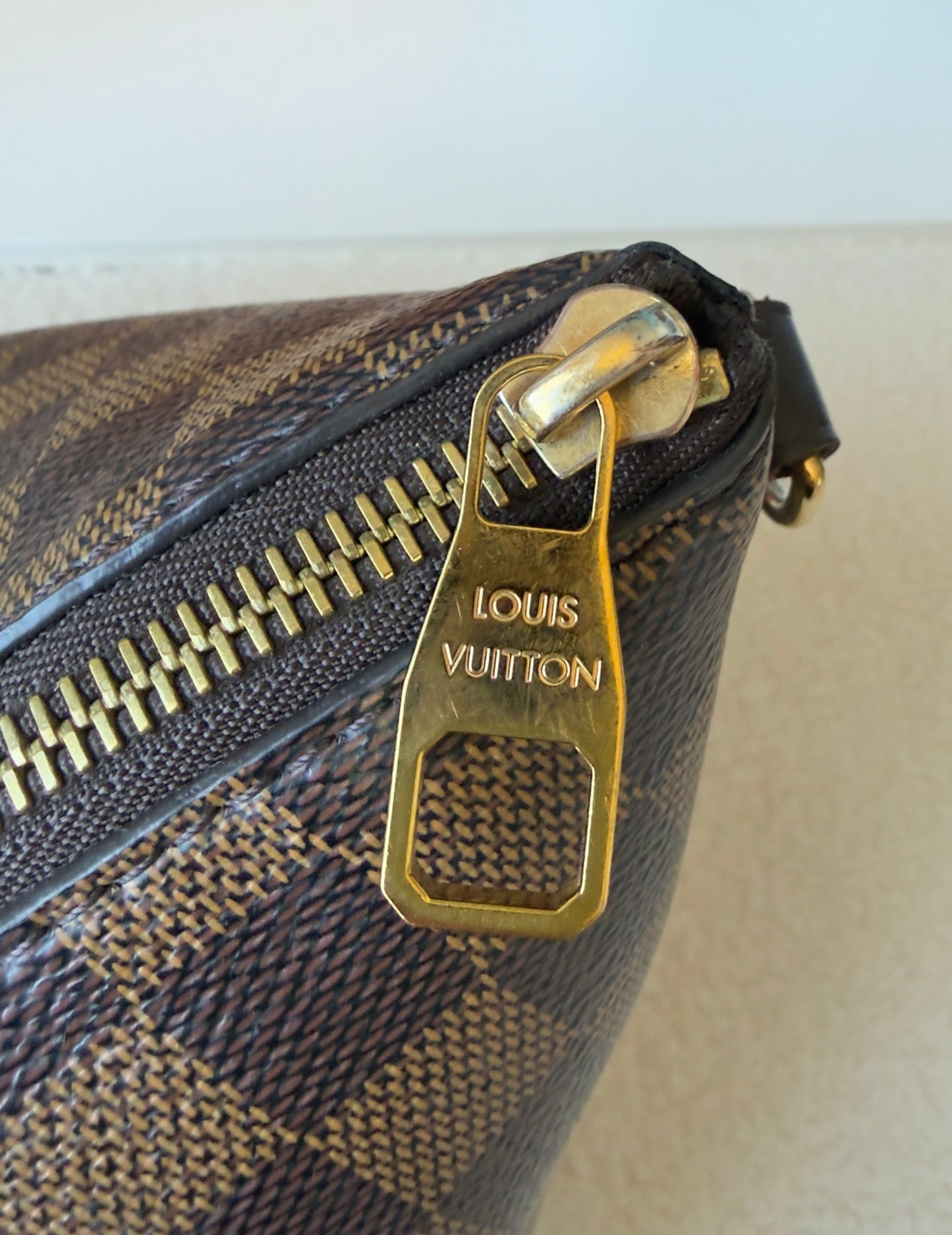 SIENA GM DAMIER EBENE BAG