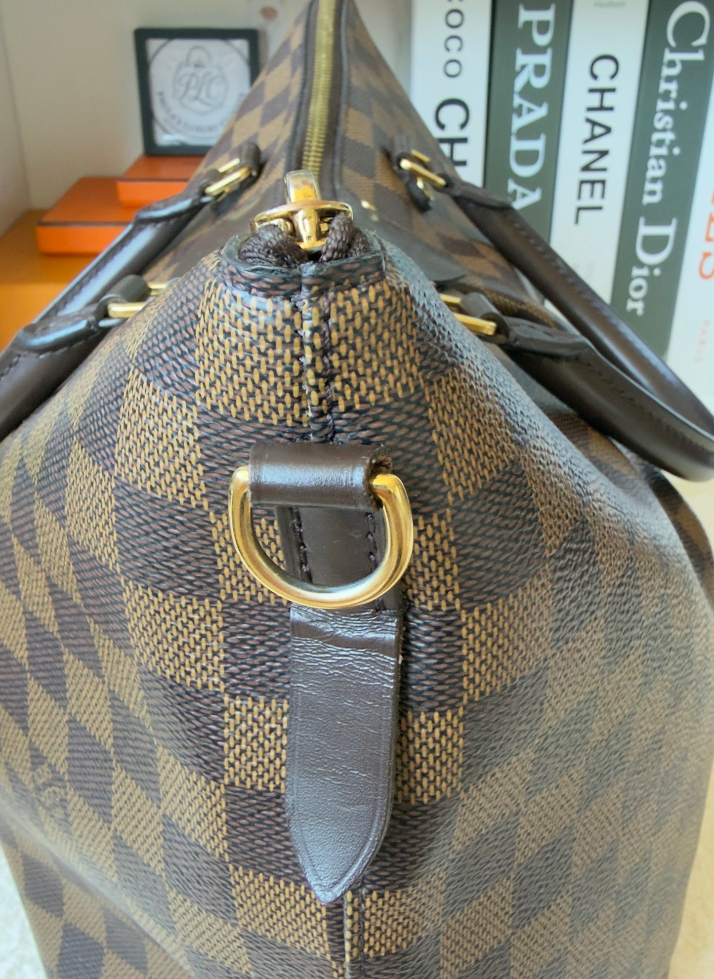 SIENA GM DAMIER EBENE BAG