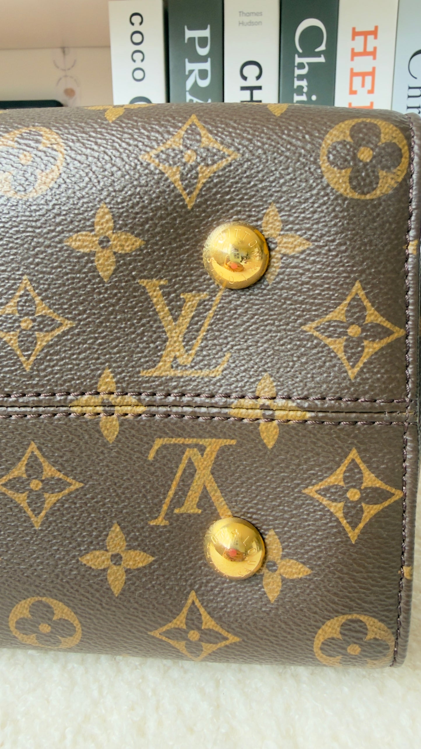 Monogram Canvas And Tricolor Leather Tuileries NM Bag