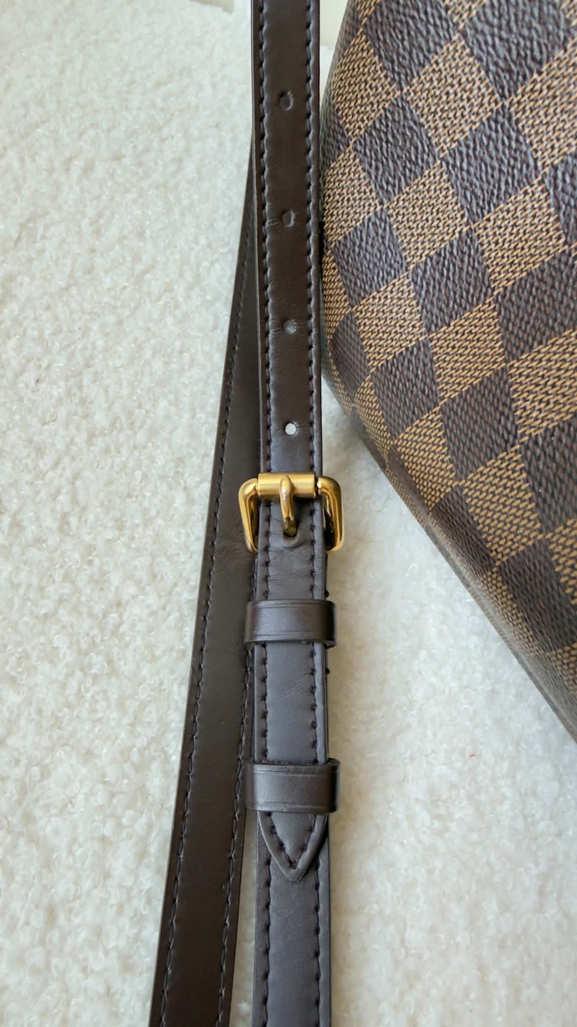 SIENA GM DAMIER EBENE BAG