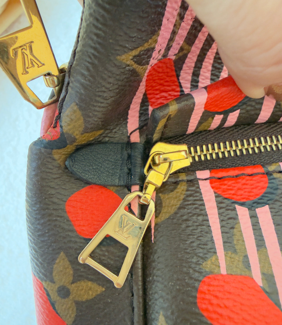 Limited Edition Monogram Canvas Jungle Dots Palm Springs Backpack PM Bag