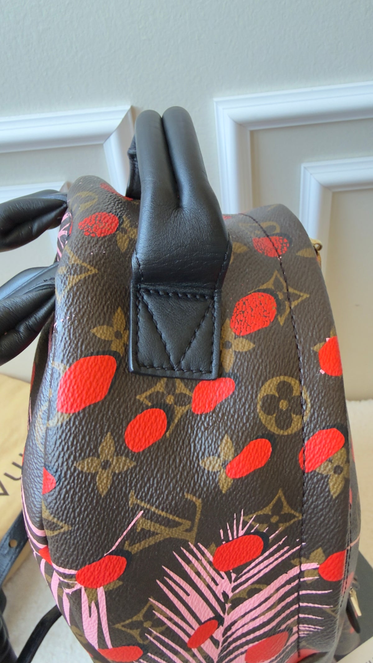 Limited Edition Monogram Canvas Jungle Dots Palm Springs Backpack PM Bag