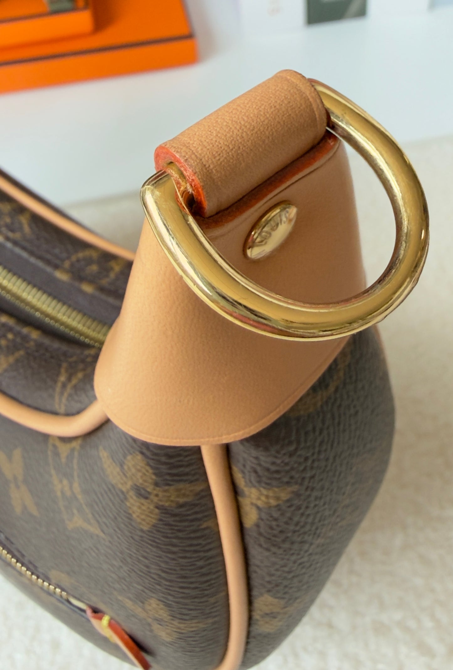 LOOP MONOGRAM CANVAS BAG