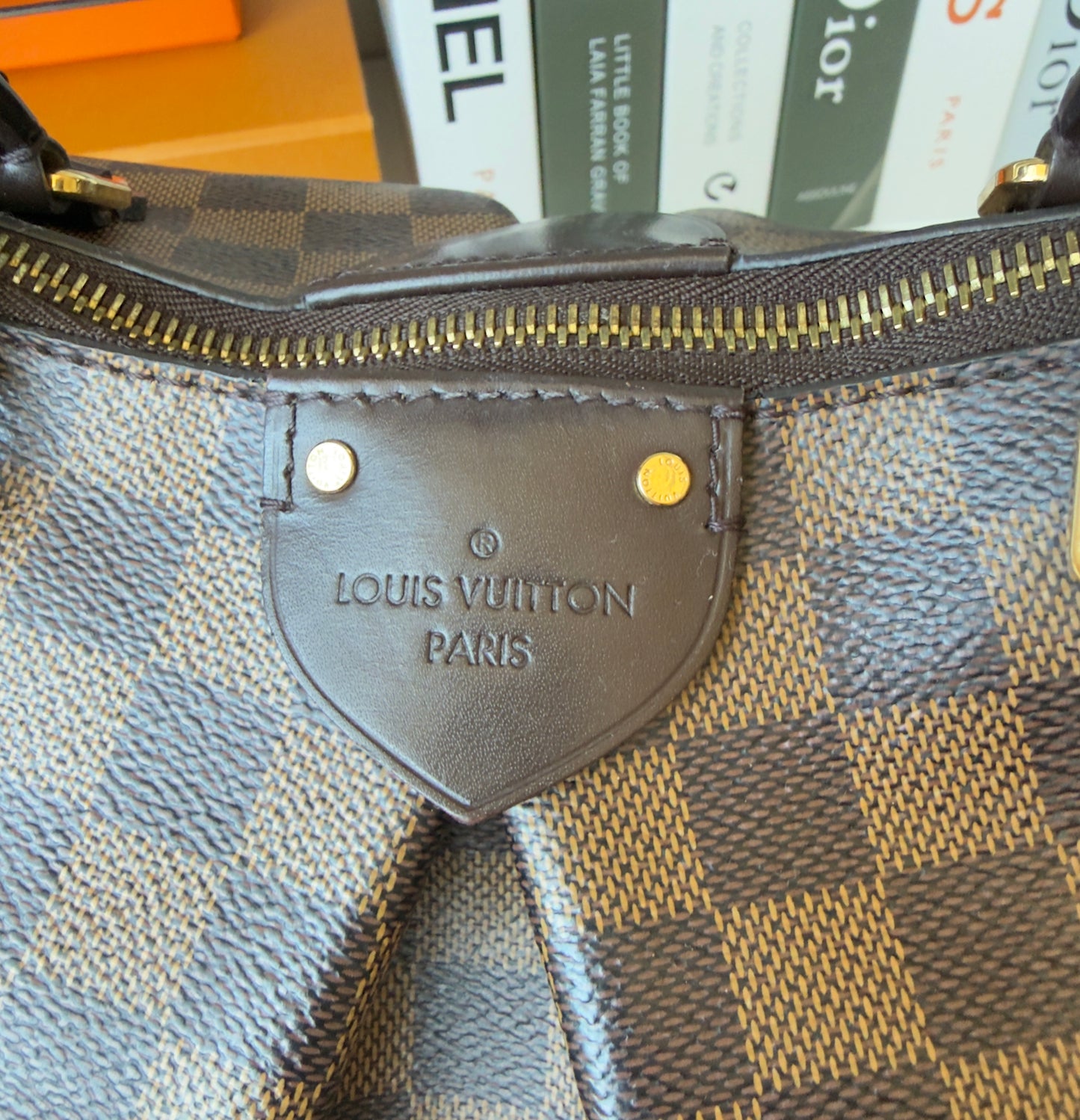 SIENA GM DAMIER EBENE BAG