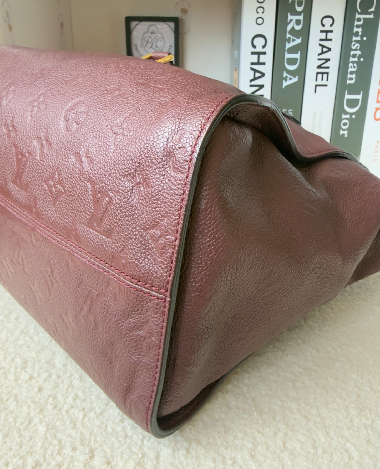 Lumineuse PM Aube Monogram Empreinte Leather Bag