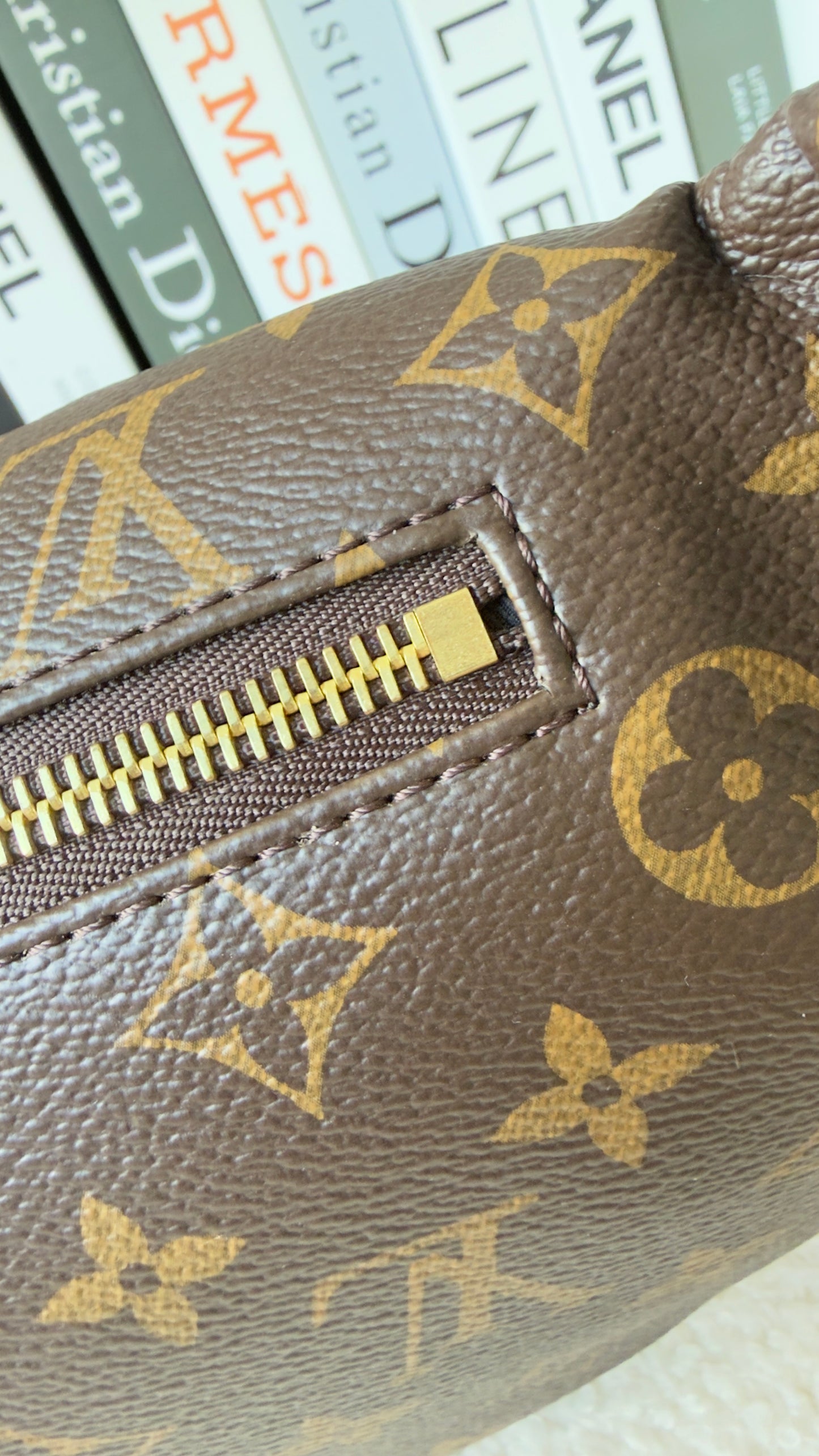 MONOGRAM CANVAS BUMBAG