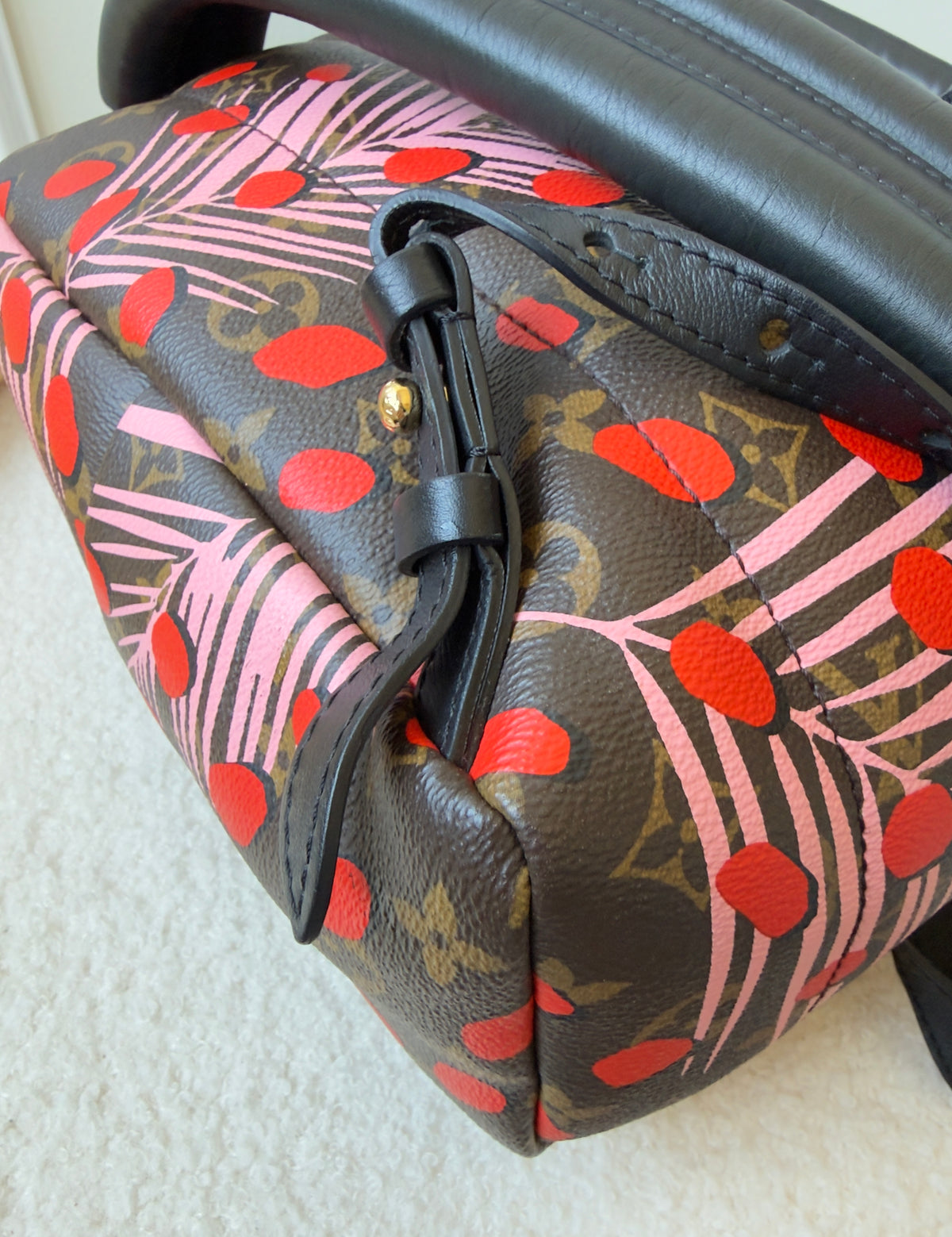 Limited Edition Monogram Canvas Jungle Dots Palm Springs Backpack PM Bag