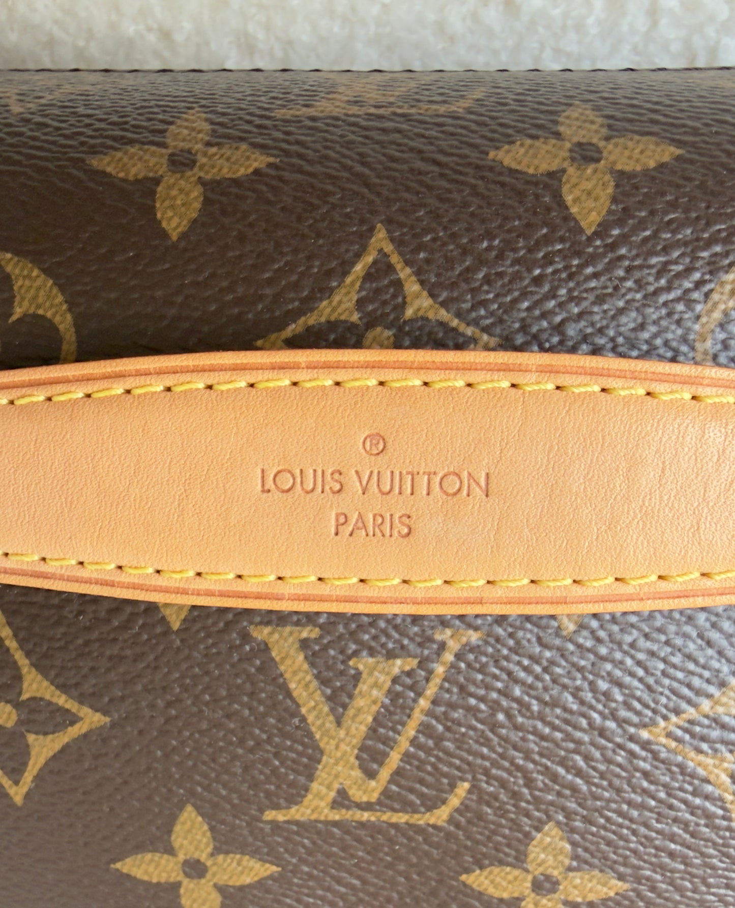 MONOGRAM CANVAS BUMBAG