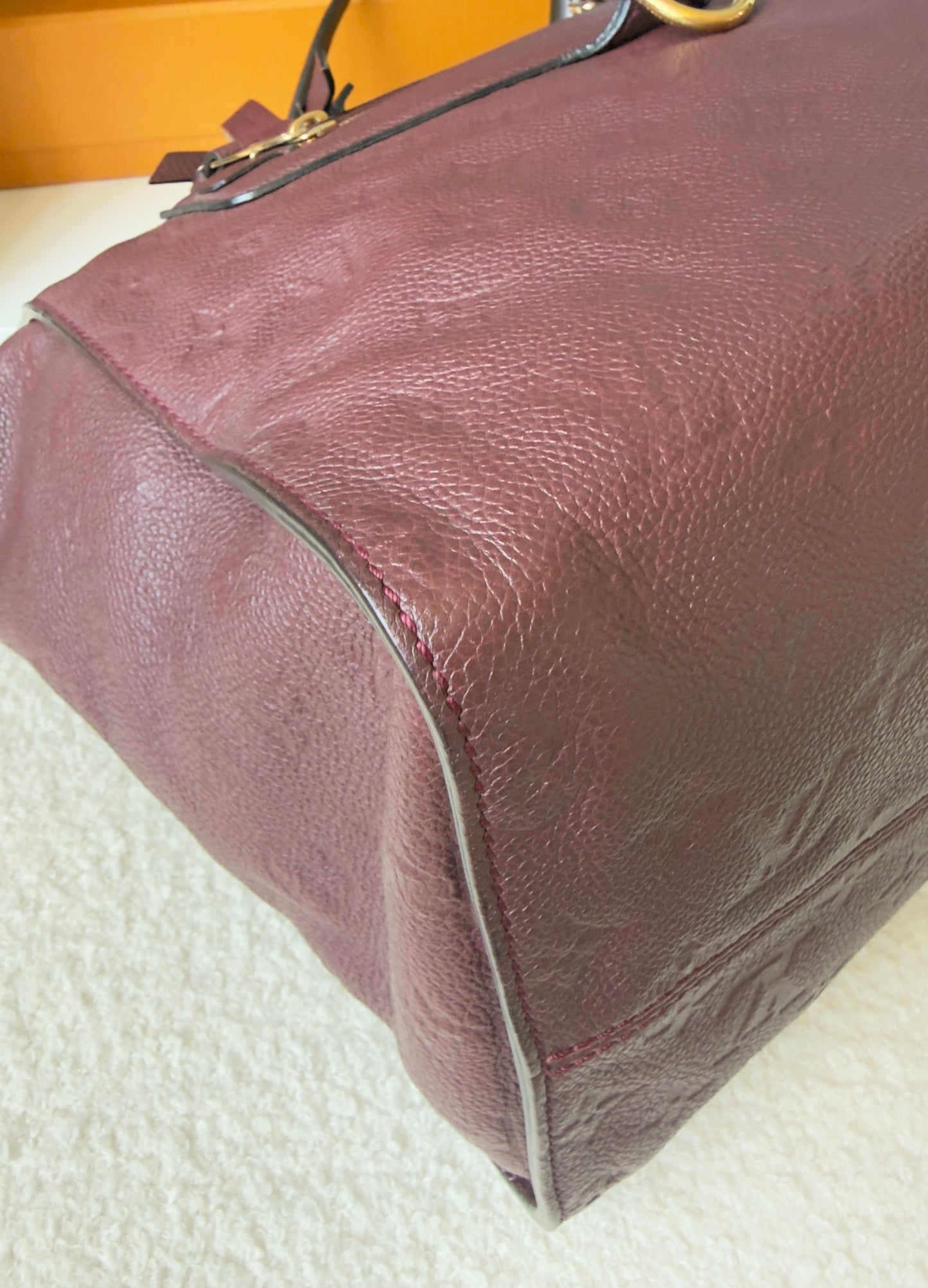 Lumineuse PM Aube Monogram Empreinte Leather Bag