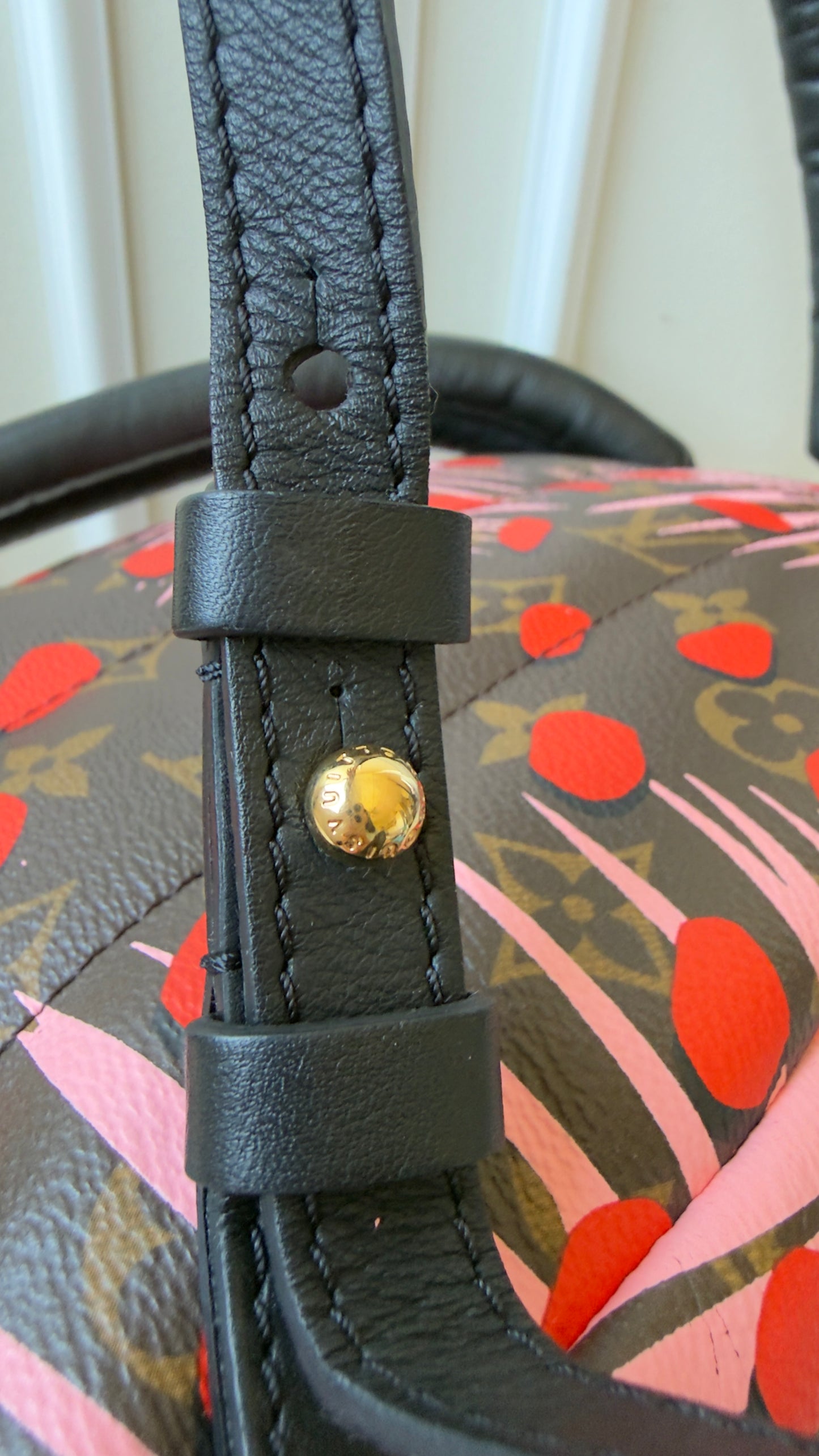 Limited Edition Monogram Canvas Jungle Dots Palm Springs Backpack PM Bag