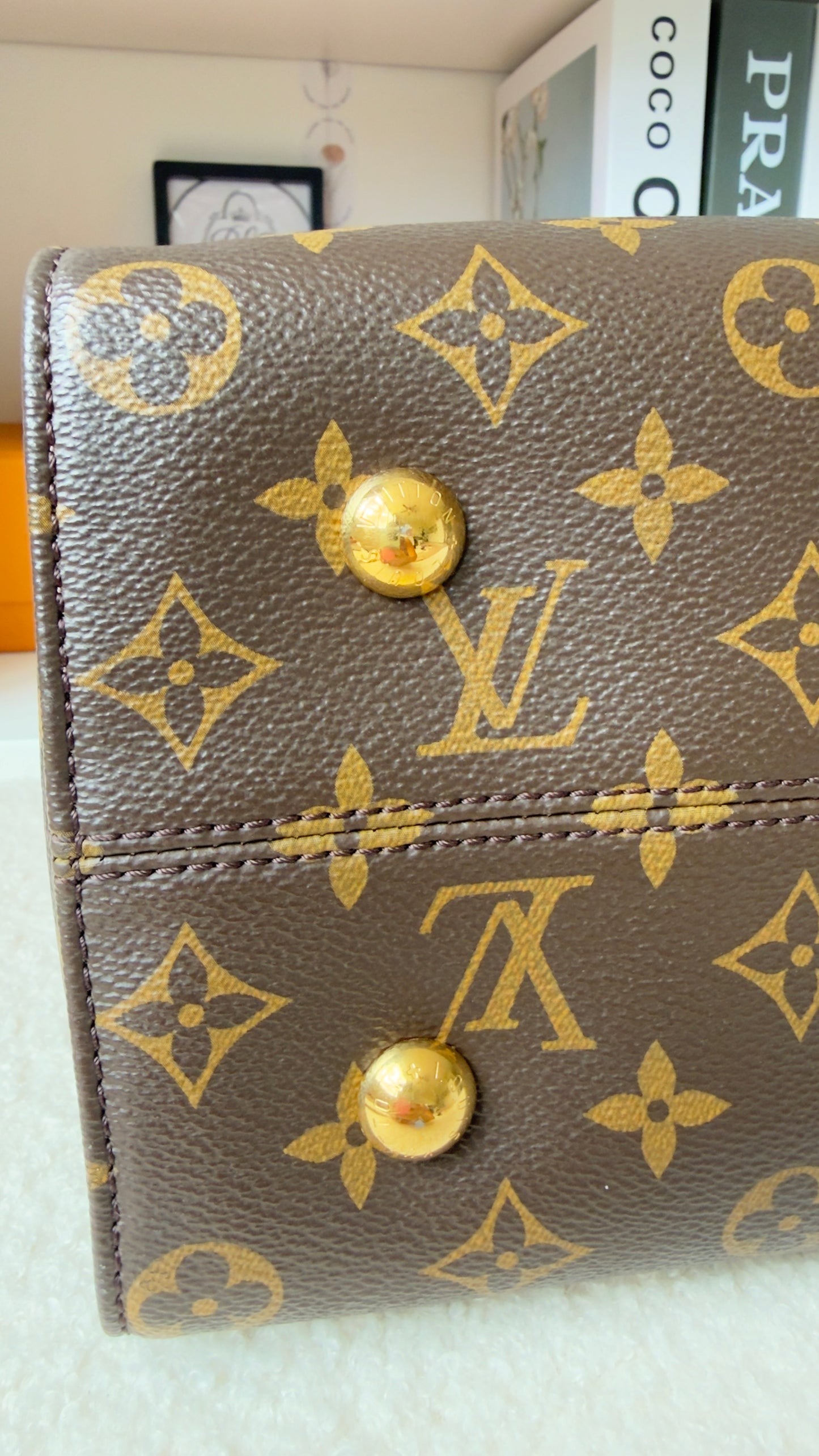 Monogram Canvas And Tricolor Leather Tuileries NM Bag