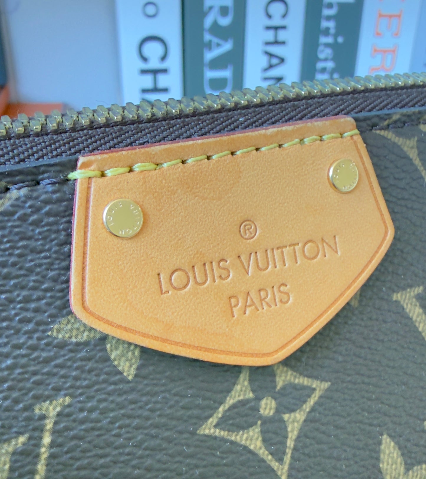TURENNE MM MONOGRAM CANVAS BAG