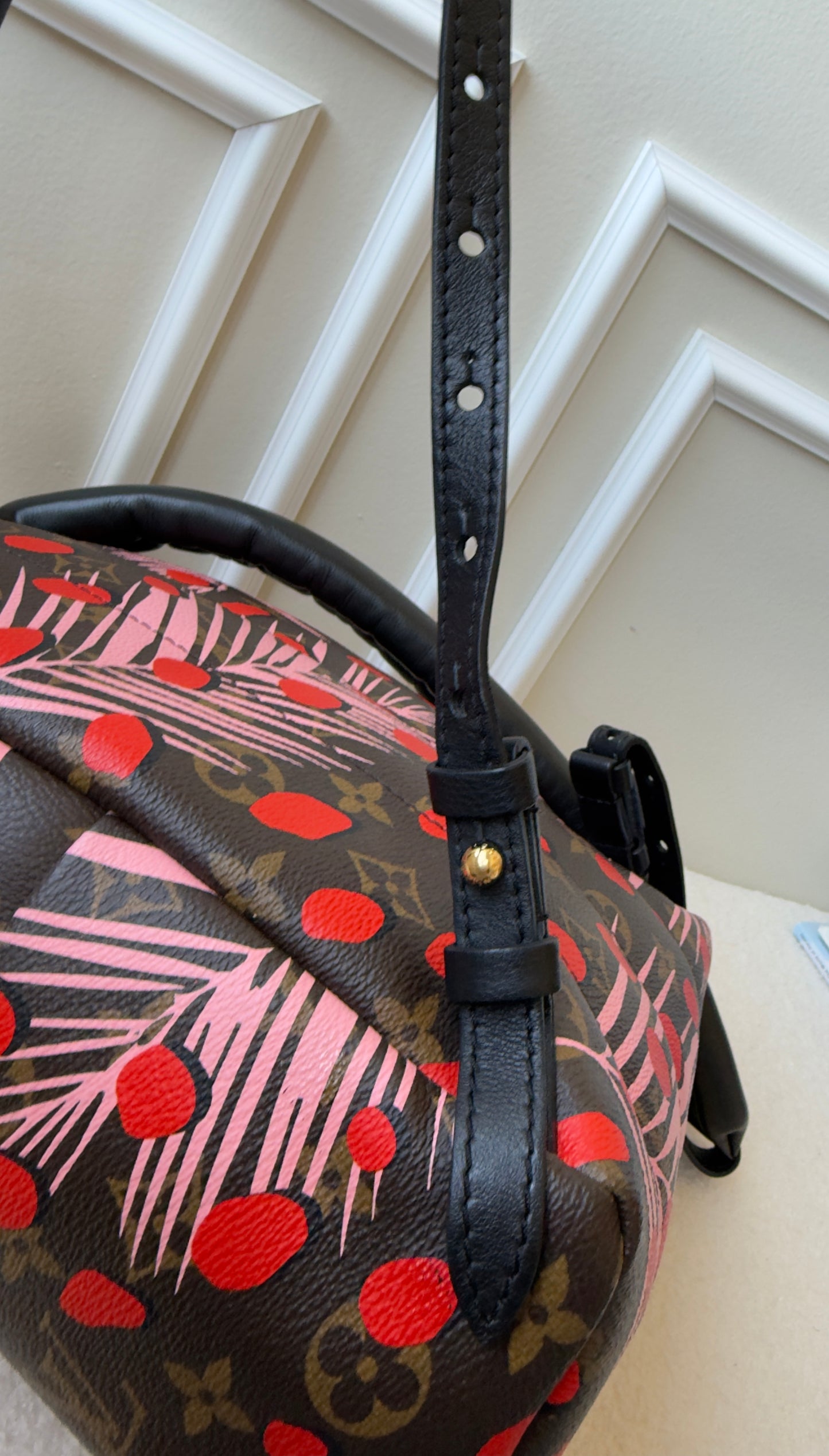 Limited Edition Monogram Canvas Jungle Dots Palm Springs Backpack PM Bag