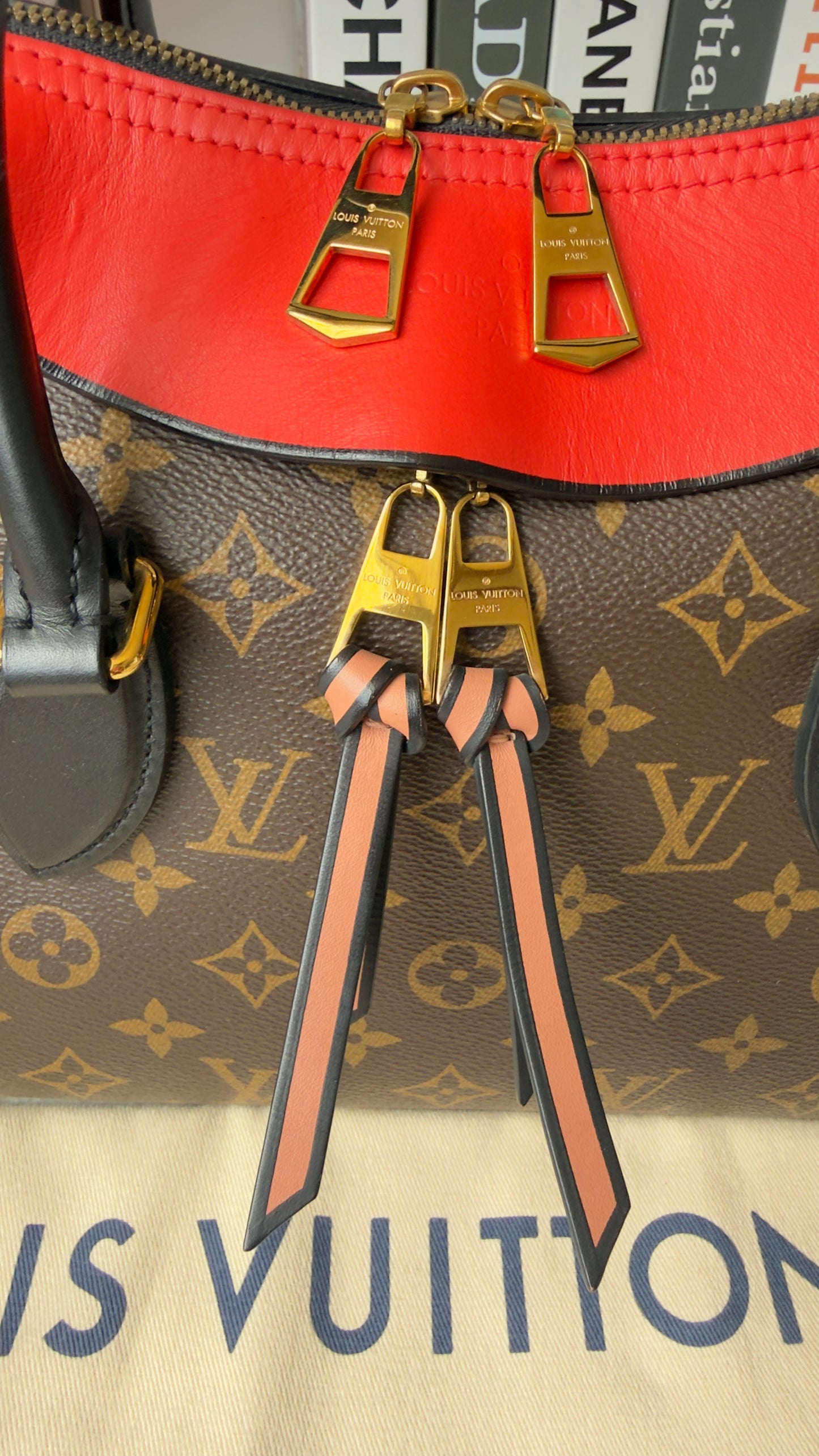 Monogram Canvas And Tricolor Leather Tuileries NM Bag