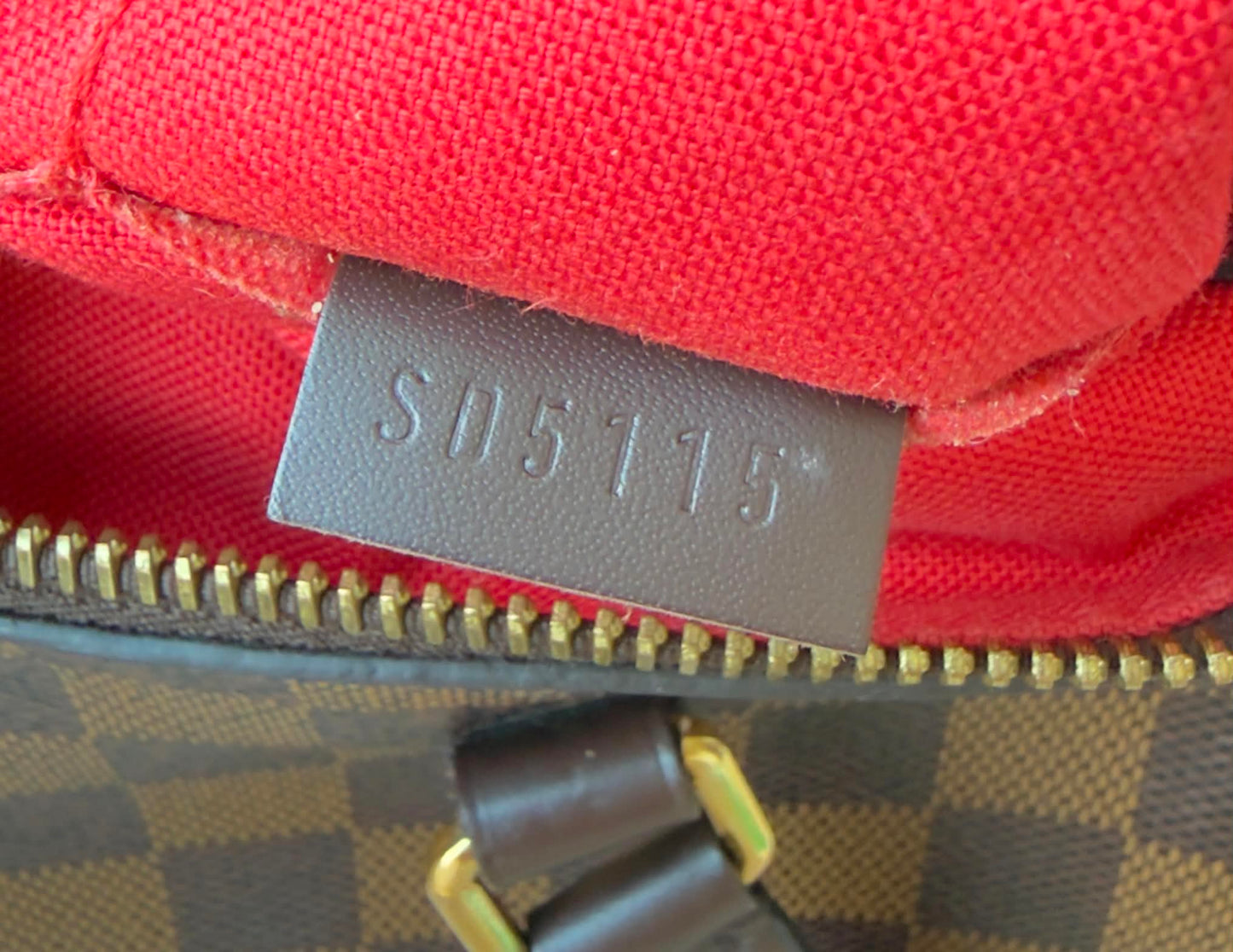 SIENA GM DAMIER EBENE BAG