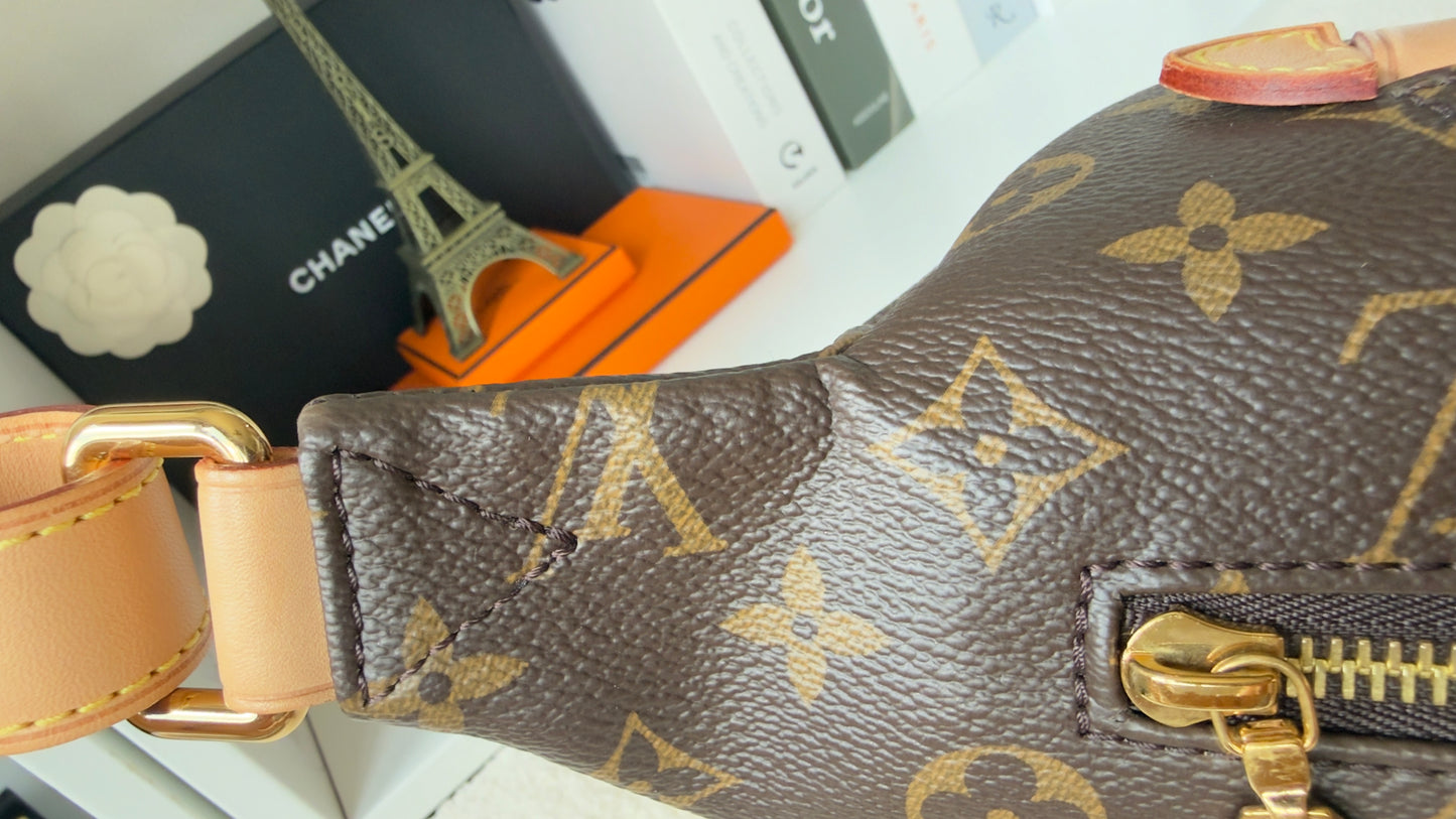 MONOGRAM CANVAS BUMBAG