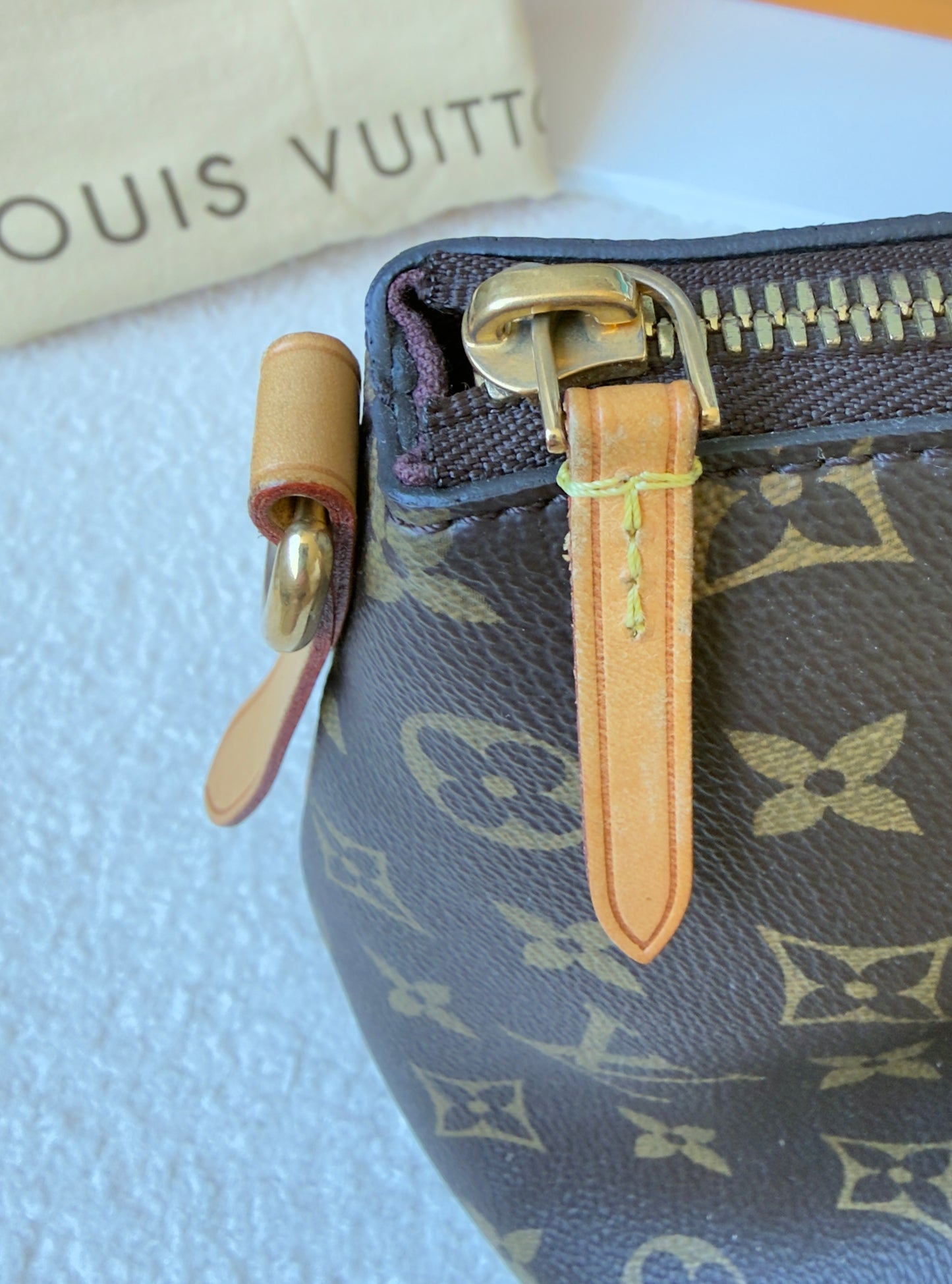 TURENNE MM MONOGRAM CANVAS BAG