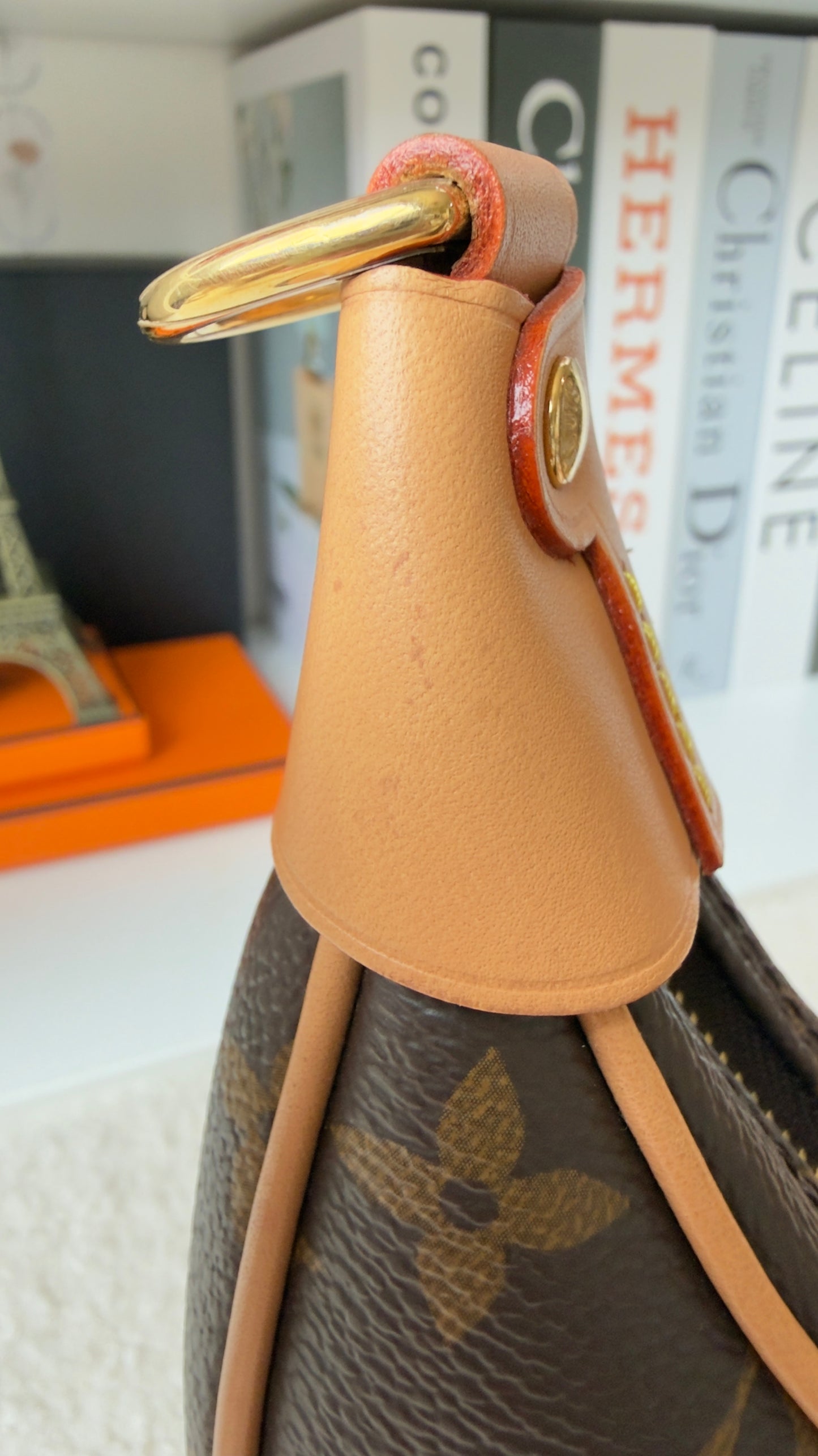 LOOP MONOGRAM CANVAS BAG
