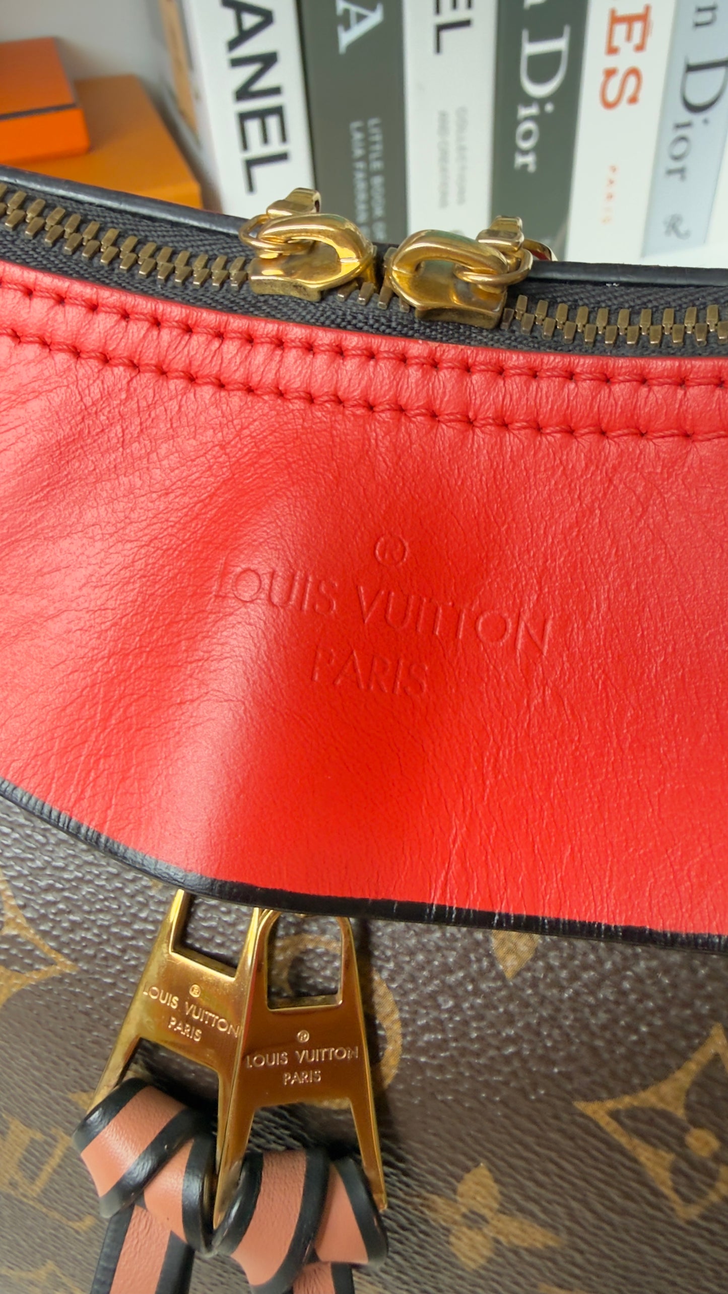 Monogram Canvas And Tricolor Leather Tuileries NM Bag